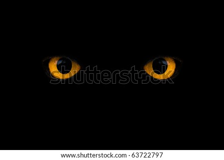 wild yellow eyes isolated on black Royalty-Free Stock Photo #63722797