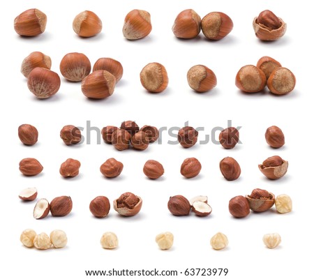 Hazelnuts (Corylus avellana) collection isolated on a white background. Nuts in shell, cleaned, peeled and sliced. Royalty-Free Stock Photo #63723979