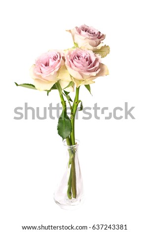Shabby chic roses in a glass vase isolated on white background