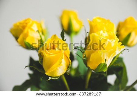 Yellow roses in glass on the white wooden table. Selective focus.