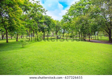 The beautiful garden in the park with green pastures green trees and blue sky.
