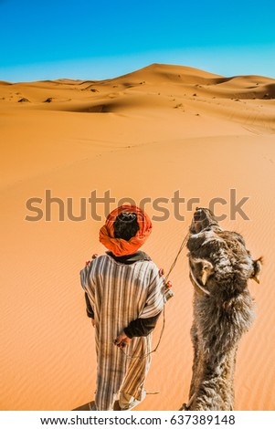 Camel driver in the desert dunes of Morocco. Hot day with colorful sand dunes of the desert. beduin walking in the desert