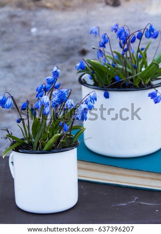 Blue spring flowers in a white mug