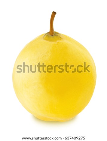 Ripe apple-quince with stem isolated