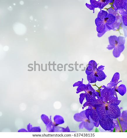 Bunch of fresh blue orchid flowers frame over gray bokeh background