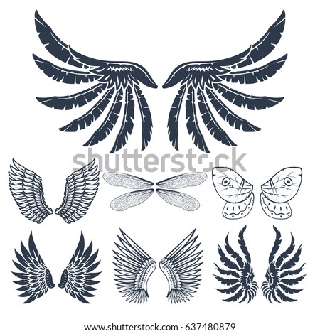 Wings vector illustration.