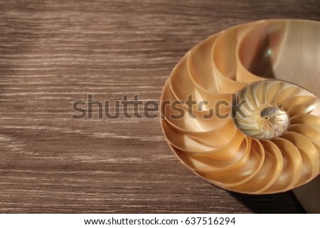 nautilus shell symmetry background Fibonacci half cross section spiral golden ratio structure growth close up back lit mother of pearl close up ( pompilius nautilus ) stock, photo, photograph, image, 