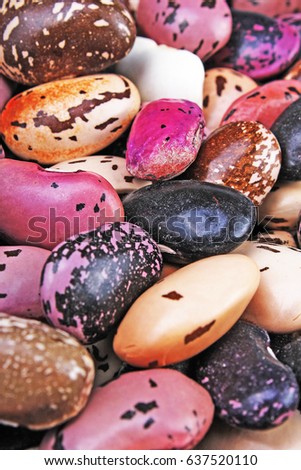 Beautiful mixed beans as background. Raw colorful bean texture.