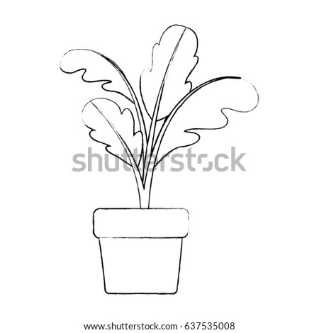monochrome blurred silhouette of beet plant in flower pot vector illustration