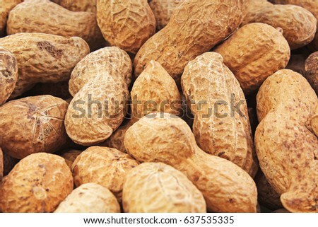 Groundnut. Peanuts without peeled shells background food photography in studio. Close up macro peanuts photo. Beautiful salted roasted peanuts pattern concept.