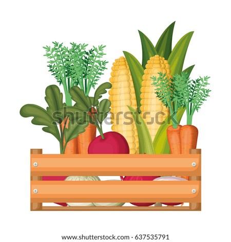 colorful silhouette of wooden box with vegetables vector illustration