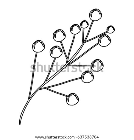 monochrome contour of branch with floral buds vector illustration
