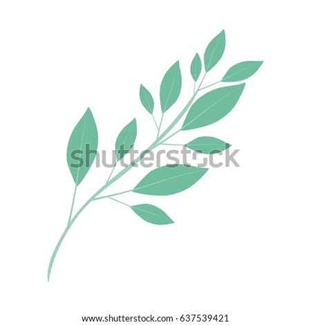 white background of branch with leaves vector illustration