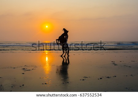 A silhouetted horse and rider rearing up on a Florida beach in the morning sun
