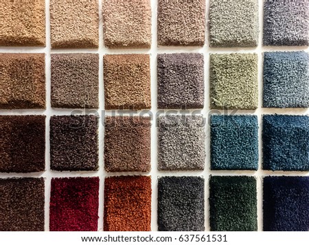Colorful samples of a carpet covering. 