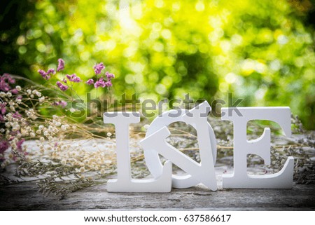 White LOVE character with dry flower around and nature background , soft focus and bokeh