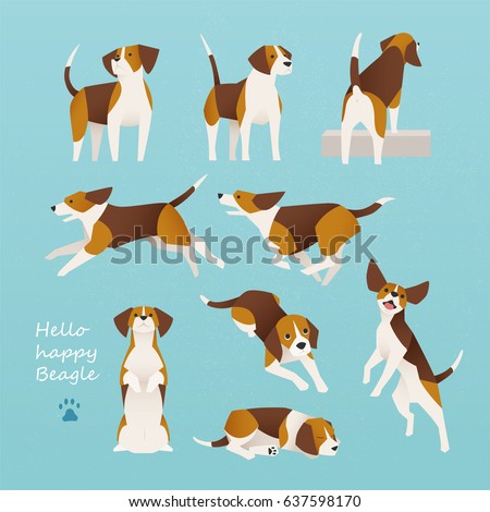 cute beagle dog lively actions vector illustration flat design