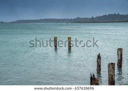 Wooden poles in water in the Coquille River, Bandon Oregon
