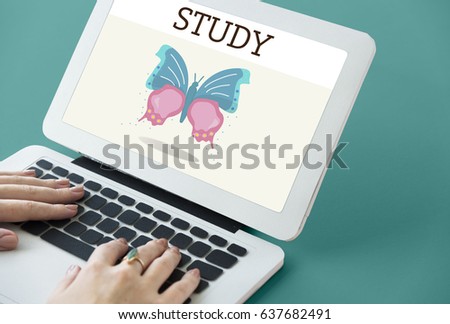 Nature Biology Insects Butterfly Illustration Concept