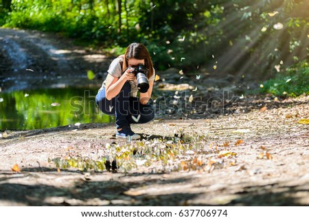 women photographers take photos Butterfly. Butterflies are feeding mineral in salt marsh in forest, kaeng krachan national park, thailand Royalty-Free Stock Photo #637706974