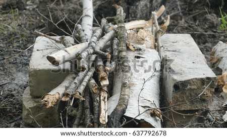 Pile of firewood. Preparation of firewood for the winter. Background
