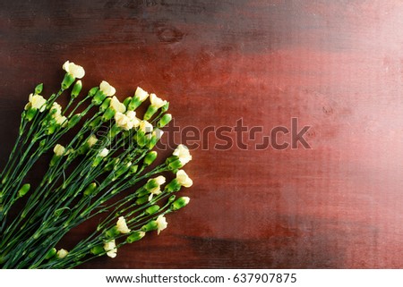 Fresh carnation flower (shabo) on an abstract background of mahogany, copyspace, flat lay