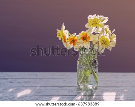 Bouquet of daffodils in a glass bottle on a dark background. The image is suitable as a background for a birthday greeting card, mother's day, Easter