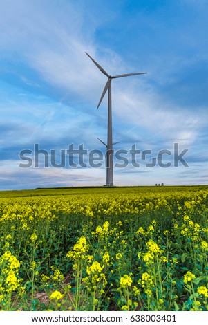Windmill in the rape field