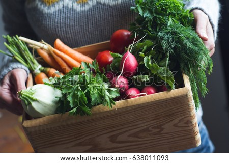 closeup of young Caucasian woman with grey woven sweater holding a large wooden crate full of raw freshly harvested vegetables Royalty-Free Stock Photo #638011093