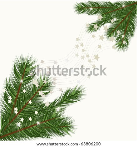 Christmas tree branches vector background