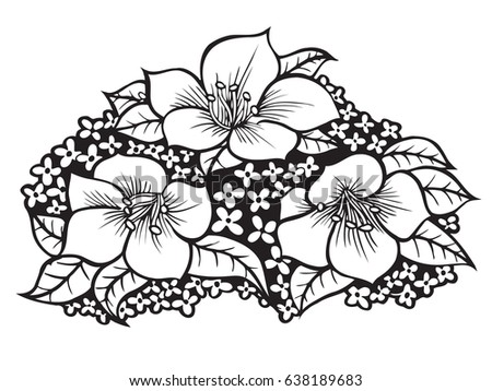 Hand drawing flowers illustration. Isolated on white