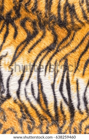 Tiger texture fur background