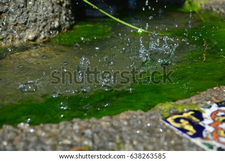Water drops dripping from ledge of fountain into pool of water in outdoor garden in bright sunlight