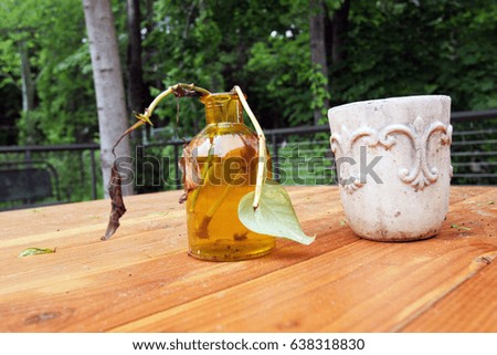 faded flower and leaf in the bottle