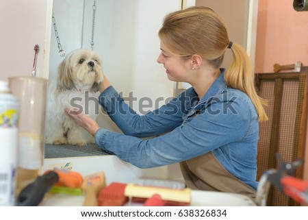 in the pet salon