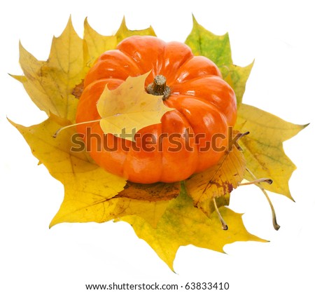 Colorful autumn leaves with Pumpkin