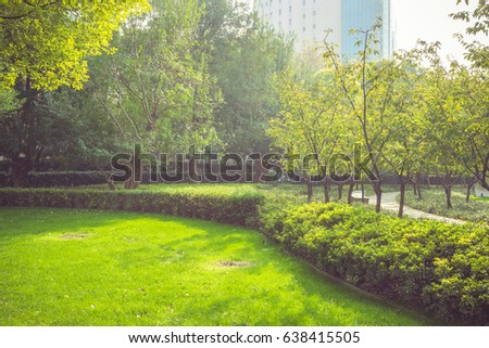 spring/summer city park scenery,natural background.