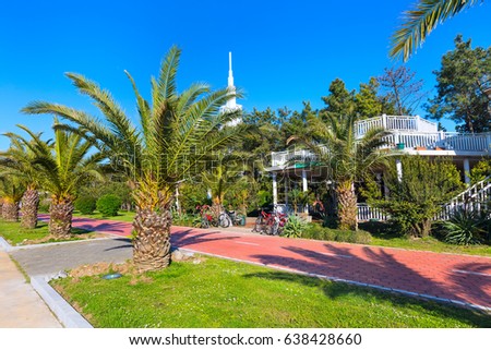 Park with palm trees near promenade of Batumi, Georgia and high modern houses