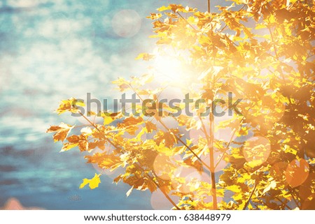 Glowing background against autumn tree against blue background