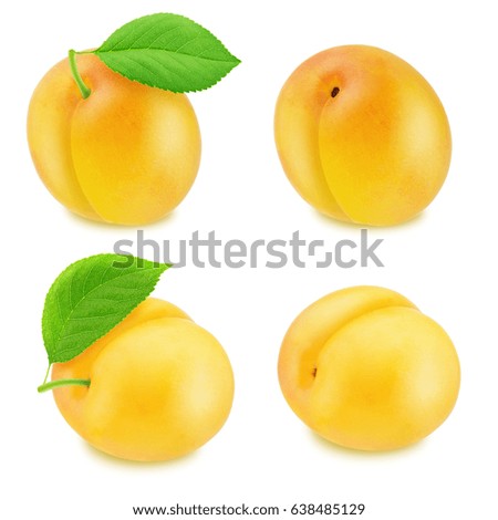 Set of ripe yellow plums isolated
