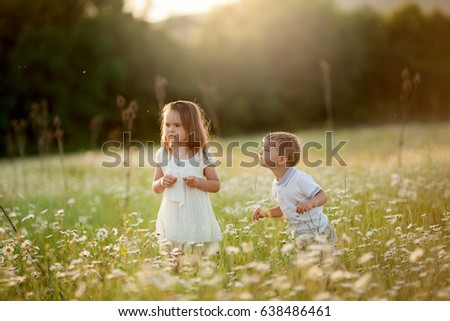 Cheerful children play in the field of blooming chamomile
