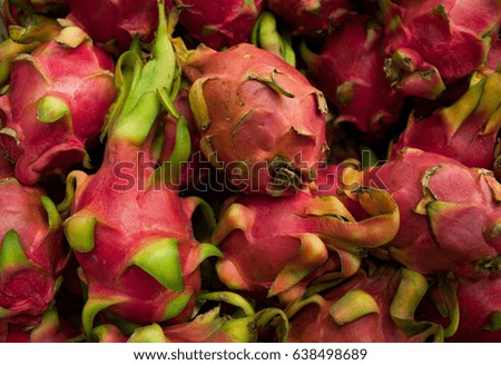 pink dragon fruits
