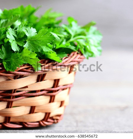Fresh green parsley leaves in a wicker basket. Garden parsley on wooden table. Plant source with quality antioxidant activities. Rustic style. Closeup