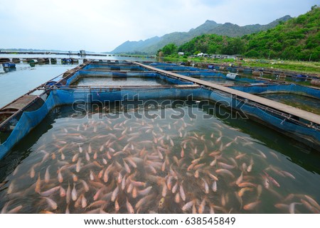 fish cage in Mae Klong river, Kanchanaburi, western central Thailand Royalty-Free Stock Photo #638545849