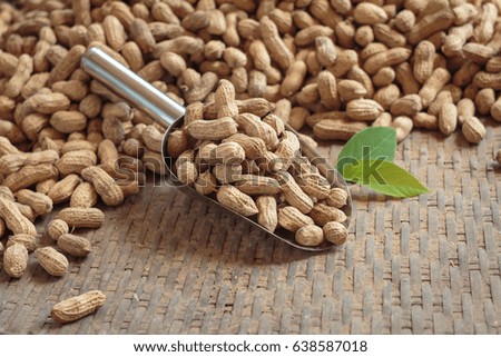 Close up shot of fresh and nature peanut with ground earth dirty, Shallow depth of field