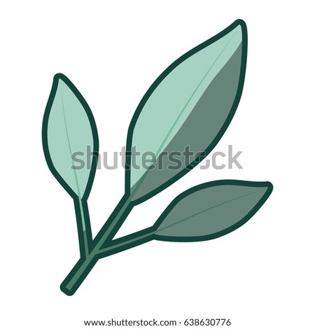 colorful thick contour of branch with leaves in closeup vector illustration