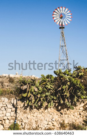 Windmill and prickly pear plant pictured in a typical countryside scene. Malta, Gozo, Europe.