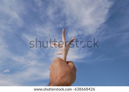Closed fist and chicken foot with sky background, fingers pointing to the sky