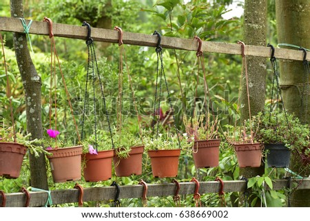 Hanging flower pot plant ideas to enhance your veranda and home surroundings.