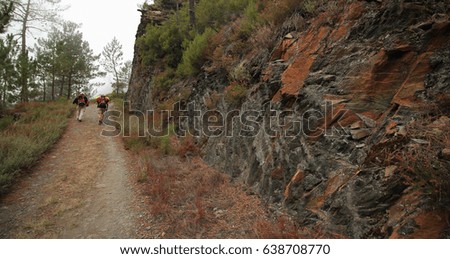 Way of St.James.Bright texture of red rocks with growing bush of flowers.The road with the outgoing silhouettes of pilgrims going into the fog.Spain.